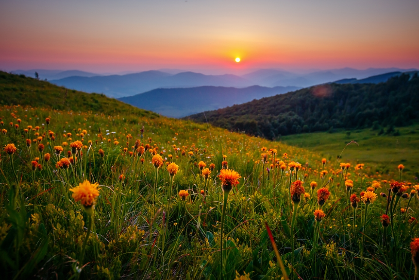 Пролетта носи съдбовни изненади на тези 4 зодии
