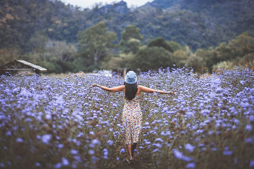 Избери си картинка и разбери къде трябва да почиваш тази пролет