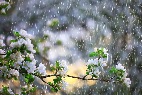 Бъдете внимателни: ето кои са най-опасните дни през април 