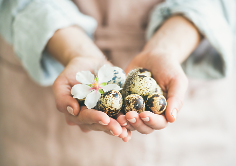 Малки, сладки и полезни: защо да сложим пъдпъдъчи яйца на великденската трапеза