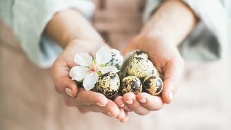 Малки, сладки и полезни: защо да сложим пъдпъдъчи яйца на великденската трапеза