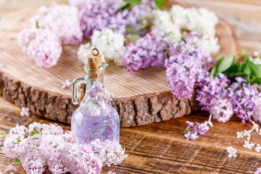 Люляково масло – за какво е полезно и как да си го направим