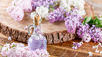 Люляково масло – за какво е полезно и как да си го направим