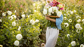 Зодиите, които ще бъдат щедро наградени от съдбата през май 