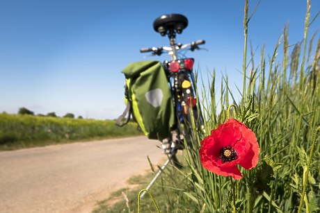 EuroVelo: Велосипедната мрежа, която обхваща Европа (и България)