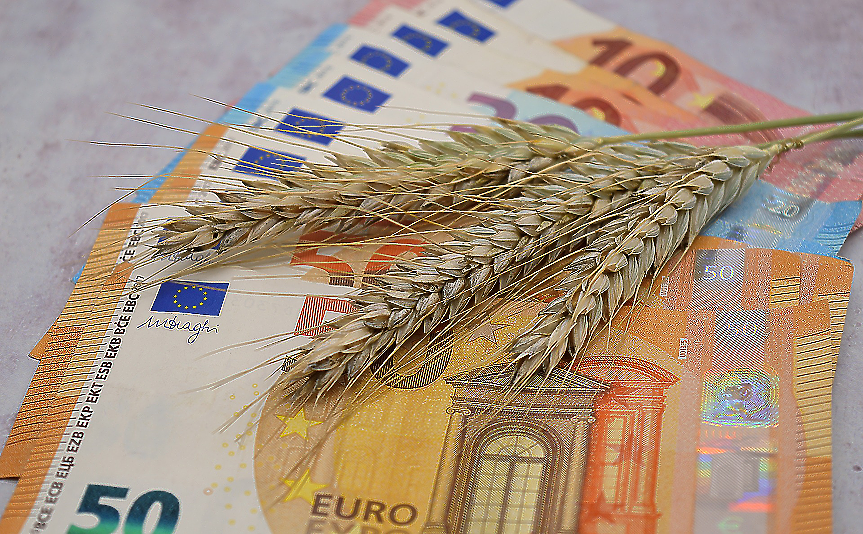 Над €100 млн. емигрантски пари у нас в девети пореден месец