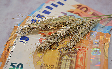 Над €100 млн. емигрантски пари у нас в девети пореден месец