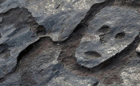 Човешки лица, изваяни в камък преди 2000 г., разкриха отдръпващите се води на Амазонка