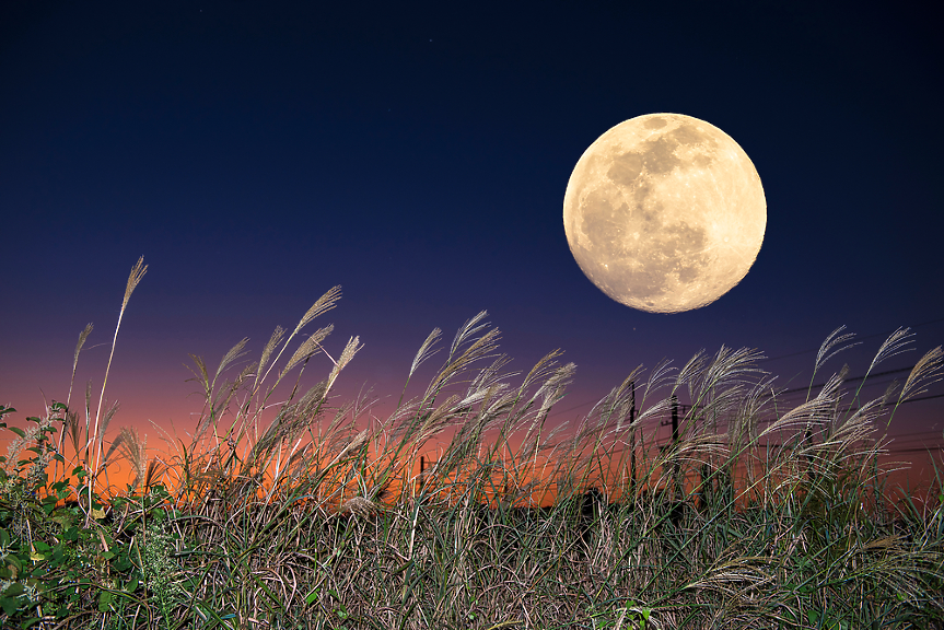 Днес изграява съдбовна Жътварска луна: ето какво да очаква всяка зодия