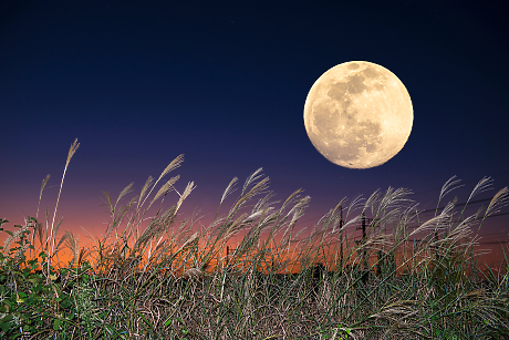 Днес изграява съдбовна Жътварска луна: ето какво да очаква всяка зодия