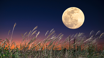 Днес изграява съдбовна Жътварска луна: ето какво да очаква всяка зодия