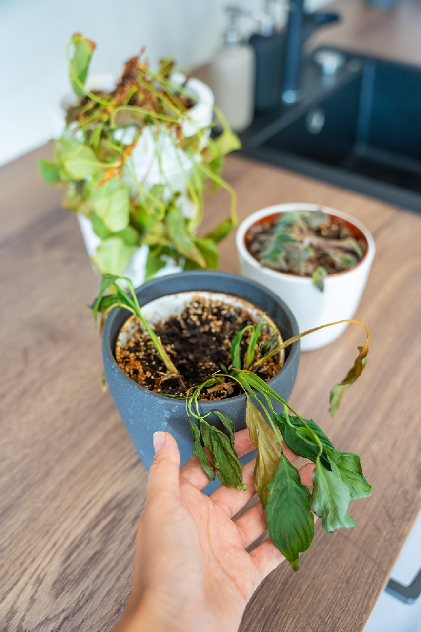 4 неща, които да изхвърлиш от живота си преди Коледа 